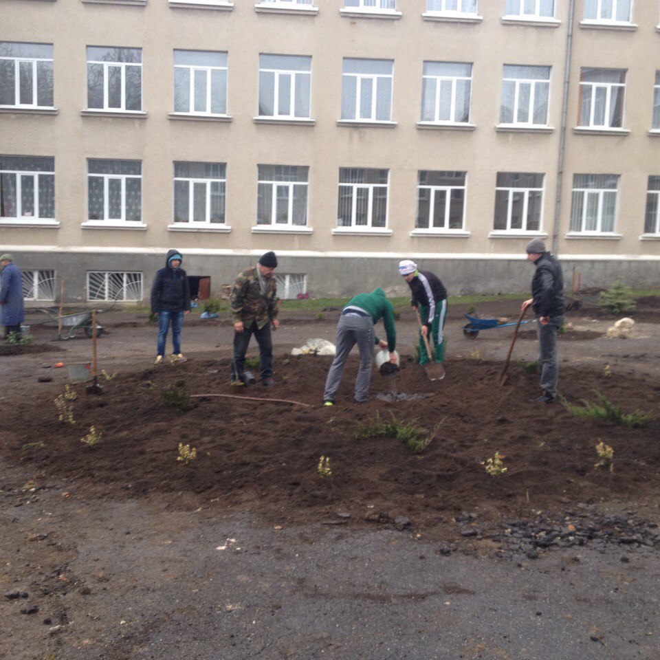 «Шкільний дендрарій» в Тернополі